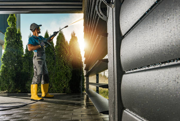 Best Gutter Cleaning  in Cedar Hill, MO